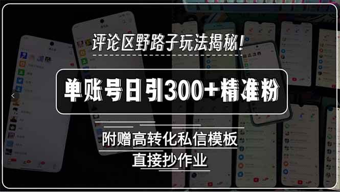 （15466期）评论区野路子玩法揭秘！单账号日引300+精准粉，附赠高转化私信模板，直…-大叔网创联盟