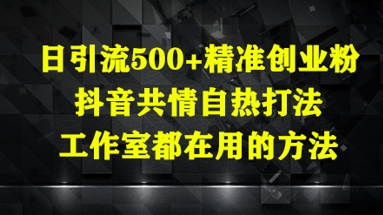 日引流500+精准创业粉，抖音共情自热打法，工作室都在用的方法-大叔网创联盟