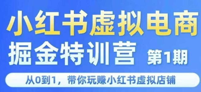 小红书虚拟电商掘金特训营第1期，从0到1，带你玩转小红书虚拟店铺-大叔网创联盟