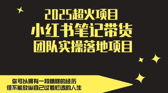 2025超火项目，副业最佳选择，小红书笔记带货团队实操落地项目，，轻松日入5张-大叔网创联盟