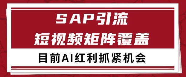 小红书某音sap赛道引流获客 自热矩阵日引200+【揭秘】-大叔网创联盟