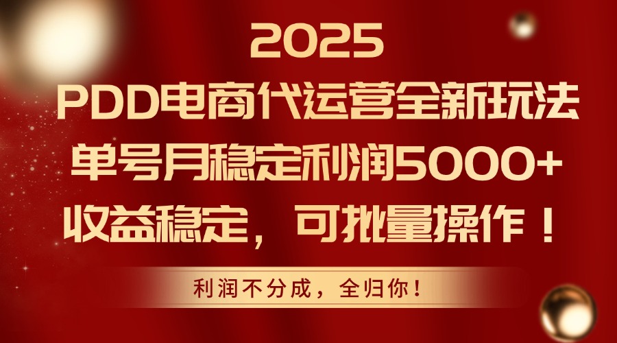 （14839期）2025PDD电商代运营全新玩法，单号月稳定利润5000+，收益稳定，可批量操作-大叔网创联盟