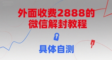 （15301期）外面收费2888的微信解封教程，具体自测-大叔网创联盟