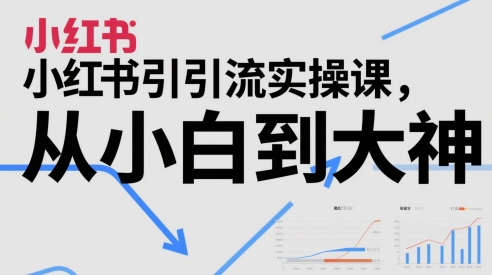 小红书引流实操课，从小白到大神-大叔网创联盟
