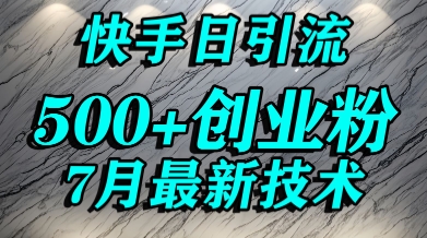 创业粉怎么打？快手精准引流创业粉，宝妈群体日进500+精准流量-大叔网创联盟