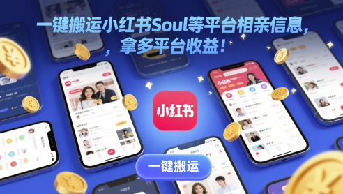 一键搬运小红书Soul等平台相亲信息，拿多平台收益!-大叔网创联盟