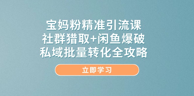 （14820期）宝妈粉精准引流课，社群猎取+闲鱼爆破，私域批量转化全攻略-大叔网创联盟