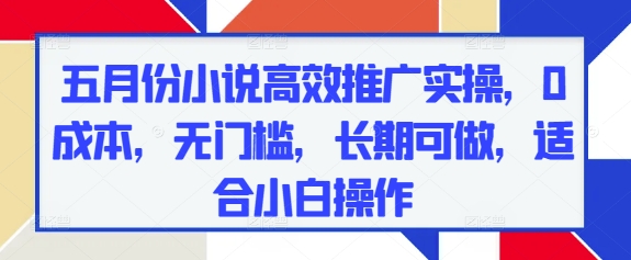 五月份小说高效推广实操，0成本，无门槛，长期可做，适合小白操作-大叔网创联盟