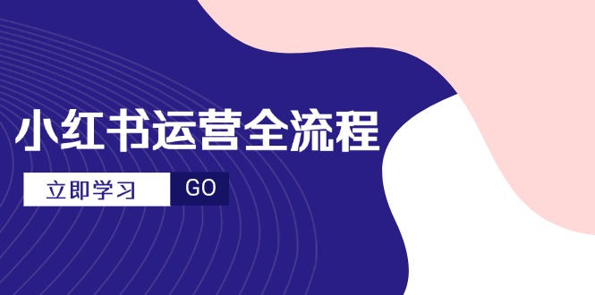 （14861期）小红书运营全流程，爆款选题文案，视频制作技巧，进阶达人宝典-大叔网创联盟