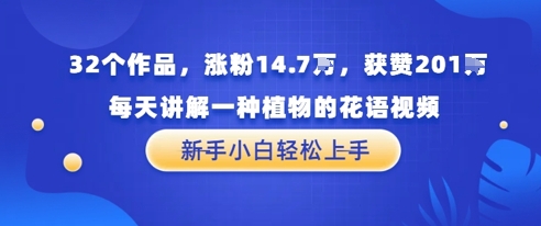 32个作品，涨粉14.7W，获赞201W，每天讲解一种植物的花语视频，无需任何技巧，新手小白轻松上手-大叔网创联盟