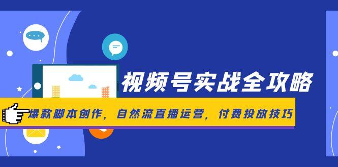 （14925期）视频号实战全攻略，爆款脚本创作，自然流直播运营，付费投放技巧-大叔网创联盟