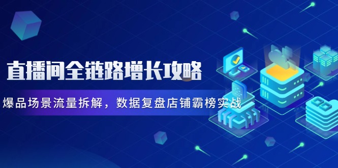 （14721期）直播间全链路增长攻略，爆品场景流量拆解，数据复盘店铺霸榜实战-大叔网创联盟