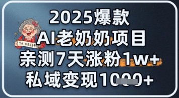 2025爆款 AI 老奶奶项目：亲测 7 天涨粉 1W+，私域变现 1k+-大叔网创联盟