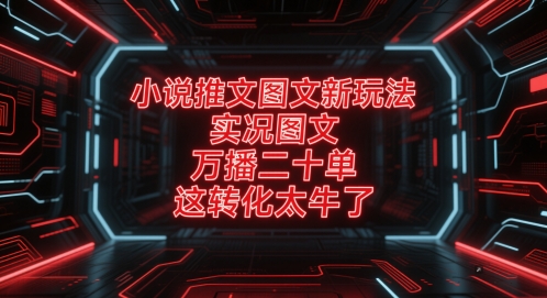 小说推文图文新玩法，实况图文，万播二十单，这转化太牛了！-大叔网创联盟