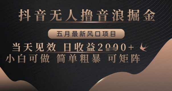 抖音无人撸音浪掘金，五月最新风口项目，当天见效，日收益多张，小白可做简单粗暴可矩阵【揭秘】-大叔网创联盟