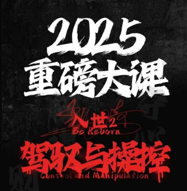 2025重磅大课，入世2，驾驭与控制-大叔网创联盟