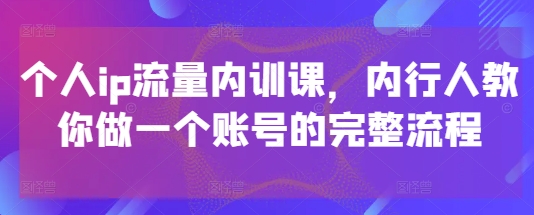 个人ip流量内训课，内行人教你做一个账号的完整流程-大叔网创联盟