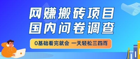 网创搬砖项目，国内问卷调查，小白轻松上手，一天三四张的也不难，干就完了【揭秘】-大叔网创联盟
