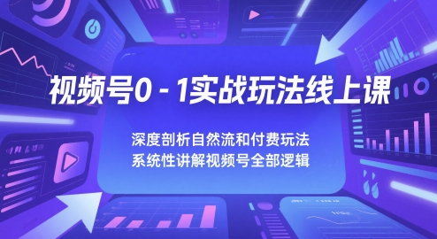 视频号0-1实战玩法线上课，深度剖析自然流和付费玩法，统性讲解视频号全部逻辑-大叔网创联盟