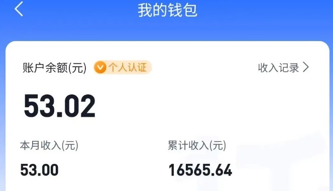 适合空闲时间操作的小红书低保项目，小红薯发布笔记，单个账号每天可获得2-12元左右-大叔网创联盟