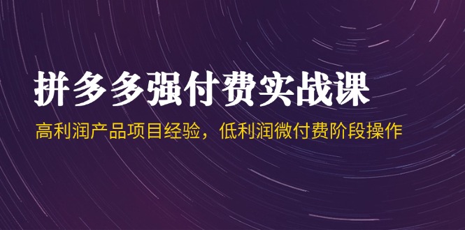 （14874期）拼多多强付费实战课-44期，高利润产品项目经验，低利润微付费阶段操作-大叔网创联盟