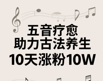 古法五音养生教程，五音疗愈的视频的制作方法，2-4小时就能学会，作者10天涨粉10W-大叔网创联盟