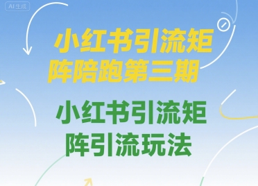小红书引流矩阵陪跑第三期，小红书引流矩阵引流玩法-大叔网创联盟