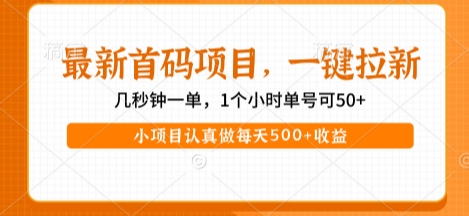 最新首码项目，操作最简单，收益高，一键拉新，1个小时单号可50+，小项目认真做每天5张+收益【揭秘】-大叔网创联盟
