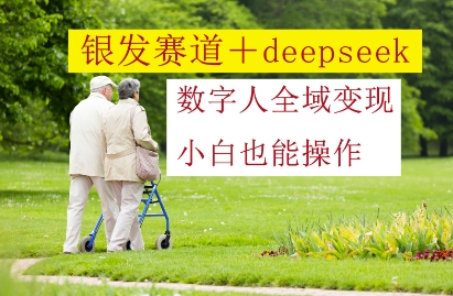 银发赛道+deepseek数字人全域变现，小白也能操作-大叔网创联盟