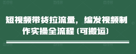 短视频带货拉流量，编发视频制作实操全流程(可搬运)-大叔网创联盟
