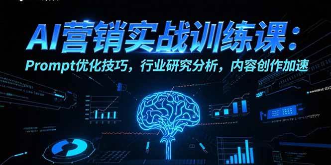 （15465期）AI营销实战训练课：Prompt优化技巧，行业研究分析，内容创作加速-大叔网创联盟