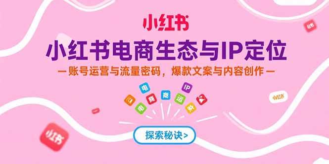 （15350期）小红书电商生态与IP定位，账号运营与流量密码，爆款文案与内容创作-大叔网创联盟