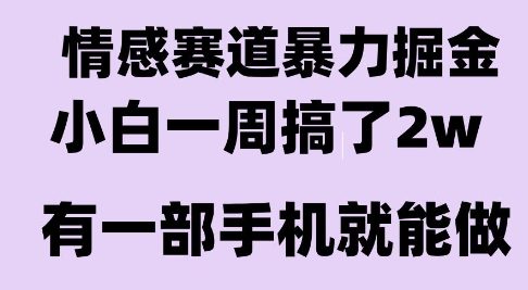 情感暴力掘金项目，新人操作一周挣了2W，长期稳定小白可做【揭秘】-大叔网创联盟