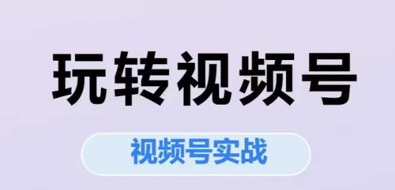 玩转视频号，视频号实战系列课-大叔网创联盟