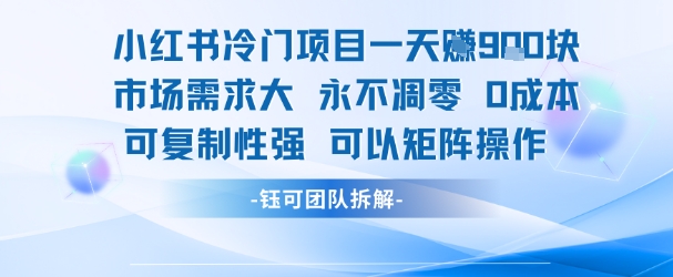 小红书冷门项目一天收益9张，市场需求大，0成本，可复制性强可以矩阵操作-大叔网创联盟