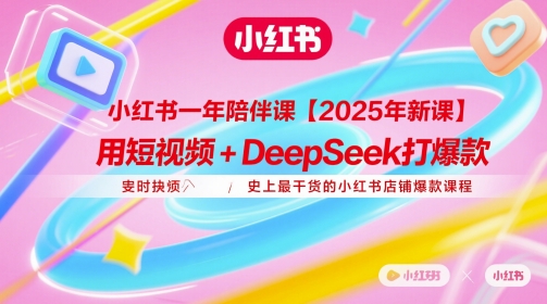 小红书一年陪伴课【2025年新课】，用短视频+deepSeek打爆款，史上最干货的小红书店铺爆款课程-大叔网创联盟