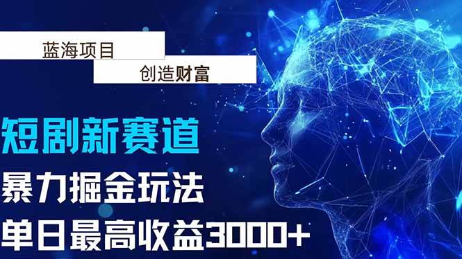 （15438期）抖音新赛道，暴力掘金玩法，单日收益最高3000+-大叔网创联盟