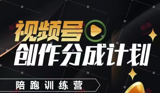 视频号创作分成计划陪跑训练营，手把手教会你如何制作视频，细水长流型项目-大叔网创联盟