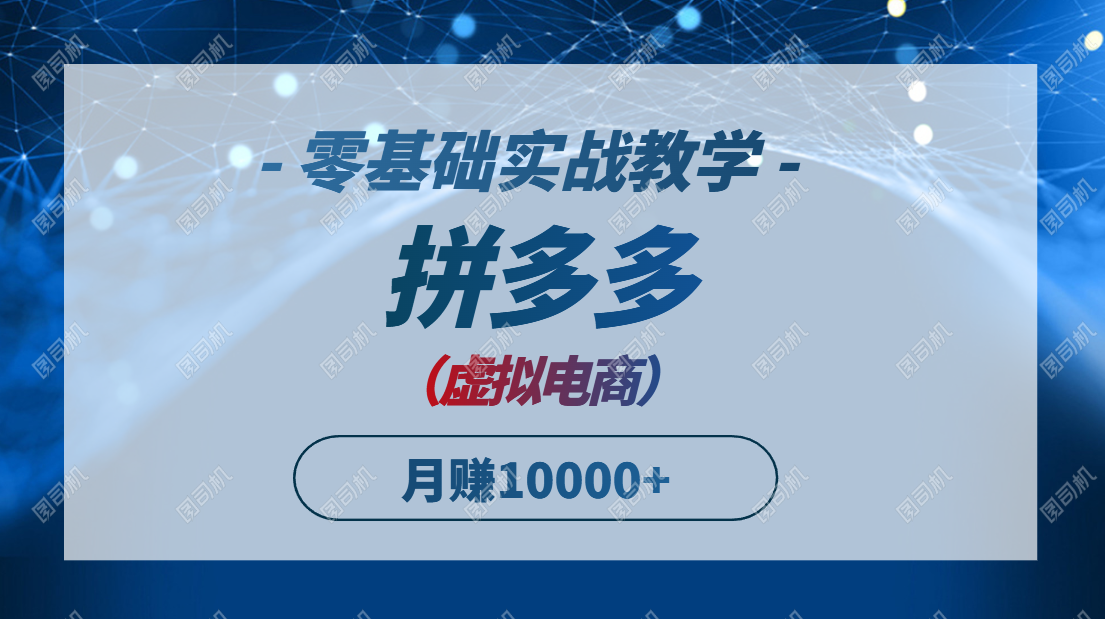 （14880期）拼多多虚拟电商，零基础实战教学，快速打爆商品，新手也能月入10000+-大叔网创联盟