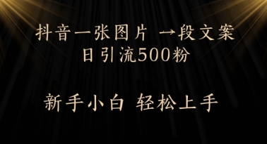 每天2分钟，抖音一张图片 一段文案日引流500粉-大叔网创联盟
