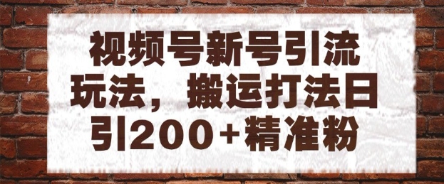 视频号新号引流玩法，搬运打法日引200+精准粉，可矩阵放大【揭秘】-大叔网创联盟