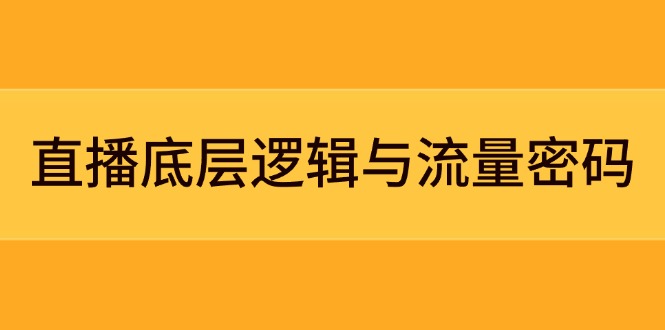 （14695期）直播底层逻辑与流量密码：定位模型+案例拆解，急速流承接与数据优化全攻略-大叔网创联盟