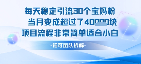 每天稳定引流30个人 当月变成超过了4个W项目流程非常简单适合小白-大叔网创联盟