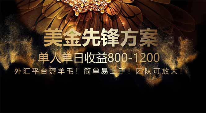 （14761期）免费技术！小众赛道！一年布局抵三年努力，每日800+-大叔网创联盟