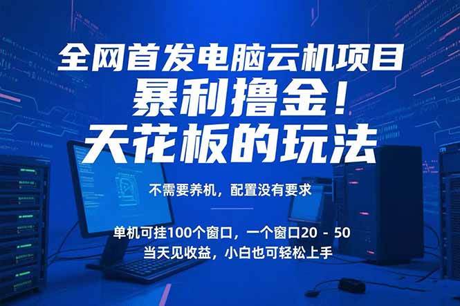 （15323期）电脑云机项目 暴力撸金玩法，不需要养机 配置没有要求 单机100个窗口一…-大叔网创联盟