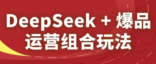 DeepSeek+爆品运营组合玩法，2025淘系精品课-大叔网创联盟
