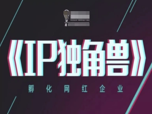 IP独角兽，孵化网红企业，ip教程-大叔网创联盟
