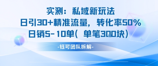 实测私域新玩法日引30加精准流量转化率50%日销5-10单每笔3张-大叔网创联盟