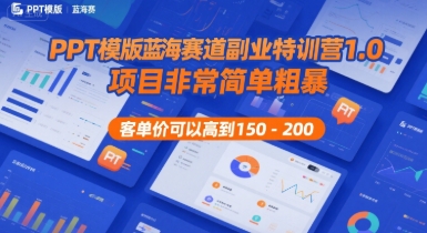 PPT模版蓝海赛道副业特训营1.0，项目非常简单粗暴，客单价可以高到150-200-大叔网创联盟