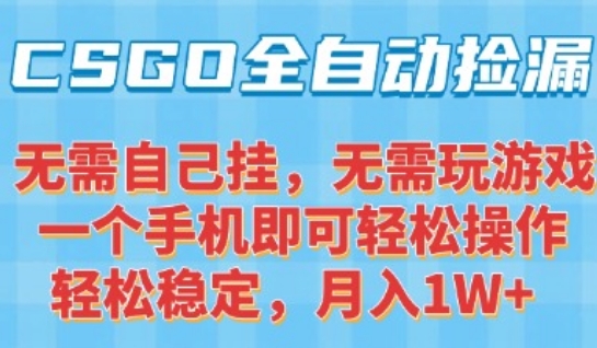 CSGO自动捡漏项目，最新独家玩法，一个手机可操作，新手小白轻松月入1W+，操作简单易上手【揭秘】-大叔网创联盟
